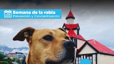Jornadas especiales de vacunación contra la rabia
