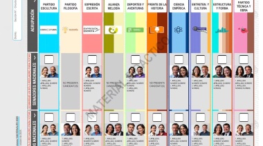 La Justicia aprobó los modelos de Boleta Única de Papel que se usarán en las elecciones nacionales