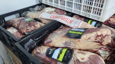 El Municipio incautó 900 kilos de carne