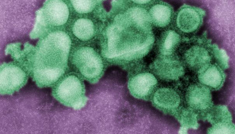 Avanza la súper gripe H3N2, ya está más cerca de Argentina y recomiendan aplicarse la vacuna