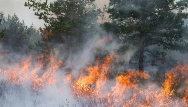 Incendios en Chubut: el fuego que ya arrasó con 45 mil hectáreas
