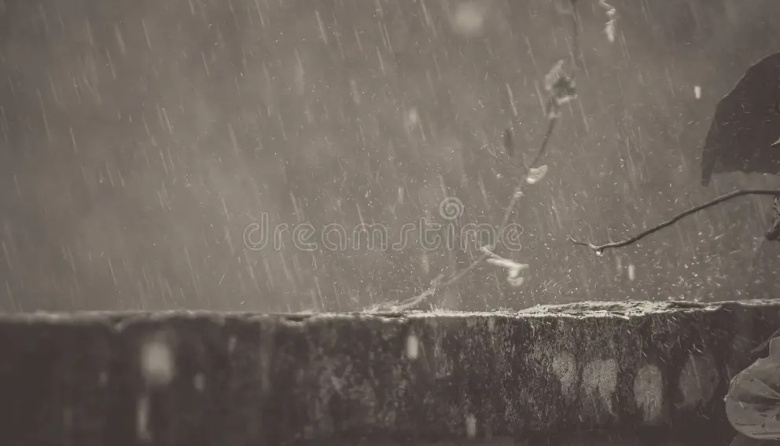 Emitieron alerta naranja por lluvias intensas en Tierra del Fuego