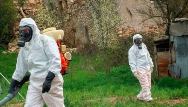 Uno por uno: los cinco lugares de Ushuaia donde buscarán el origen del brote de hantavirus en un crucero