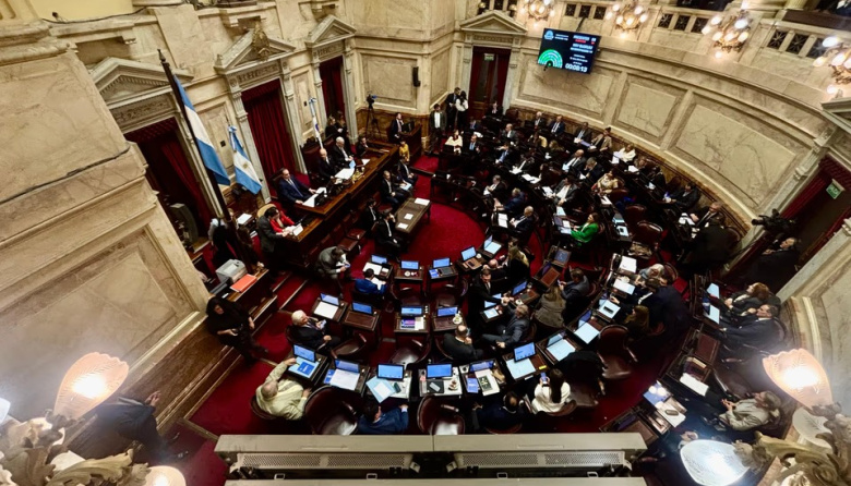 Senado: el Gobierno aprobó la ley de propiedad privada, pero tuvo que quitar otro capítulo