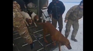 El Ejército rescató a un peón y sus 13 perros de una cabaña en Santa Cruz aislada desde hace un mes por la nieve