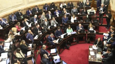 En medio de la crisis, el Senado acordó un nuevo aumento de la dieta: cobrarán $9 millones por mes