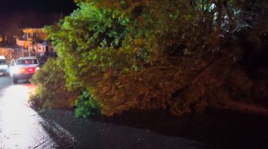 Defensa Civil intervino ante llamados por incidentes provocados por los fuertes vientos